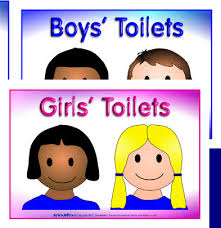 स्कूलों में लड़कियों के लिए अलग शौचालय के आंकड़ों की बाजीगरी