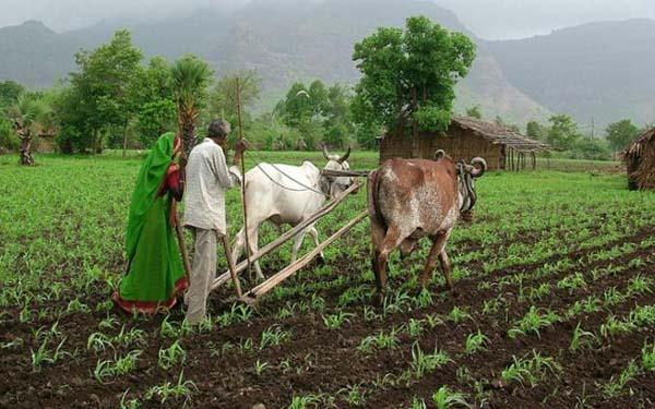 जैविक में है दम, सिक्किम बना प्रथम