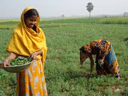 भारतीय कृषि में महिलाओं की दयनीय स्थिति