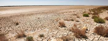 मरुस्थलीकरण और सूखा : दुनिया के समक्ष बड़ी चुनौती