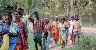 जनगणना में प्रकृति संरक्षक आदिवासी के लिए हो संस्कृति कॉलम