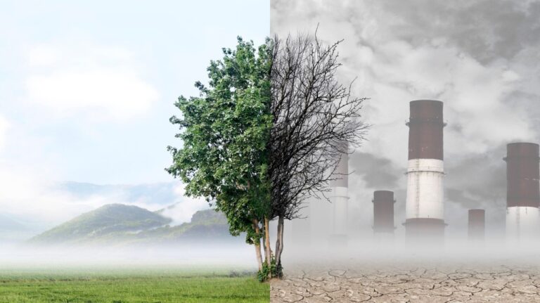 वायु प्रदूषण से होती लाखों मौतों के लिये कौन जिम्मेदार?